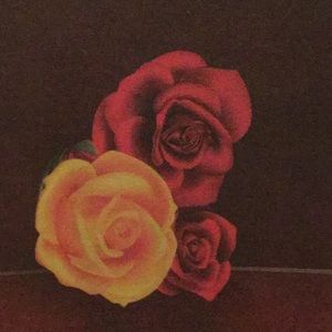 Meet your Posher, Robin